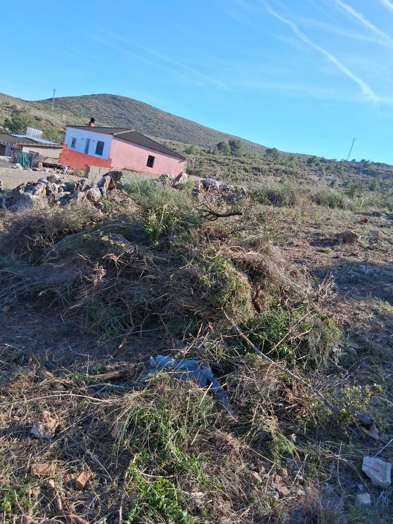 Home jg mudanzas vaciados 5
